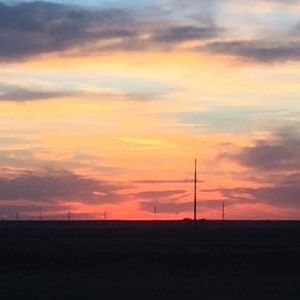 Meet your Posher, Marsha